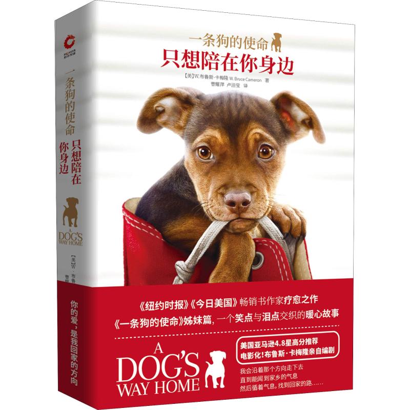 一条狗的 只想陪在你身边【正版图书】