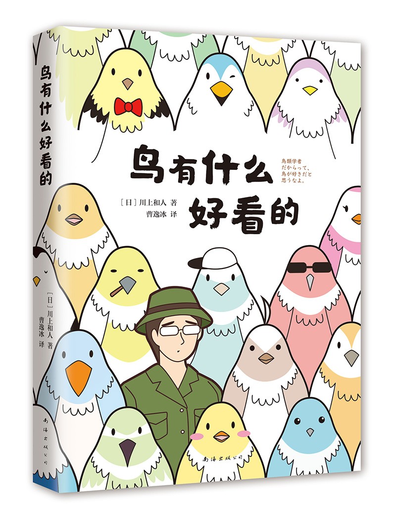 鸟有什么好看的