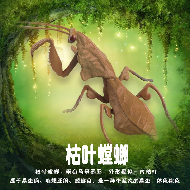 林畅模玩儿童昆虫玩具兰花螳螂模型枯叶刀螂叶子虫蝉知了甲虫认知仿真