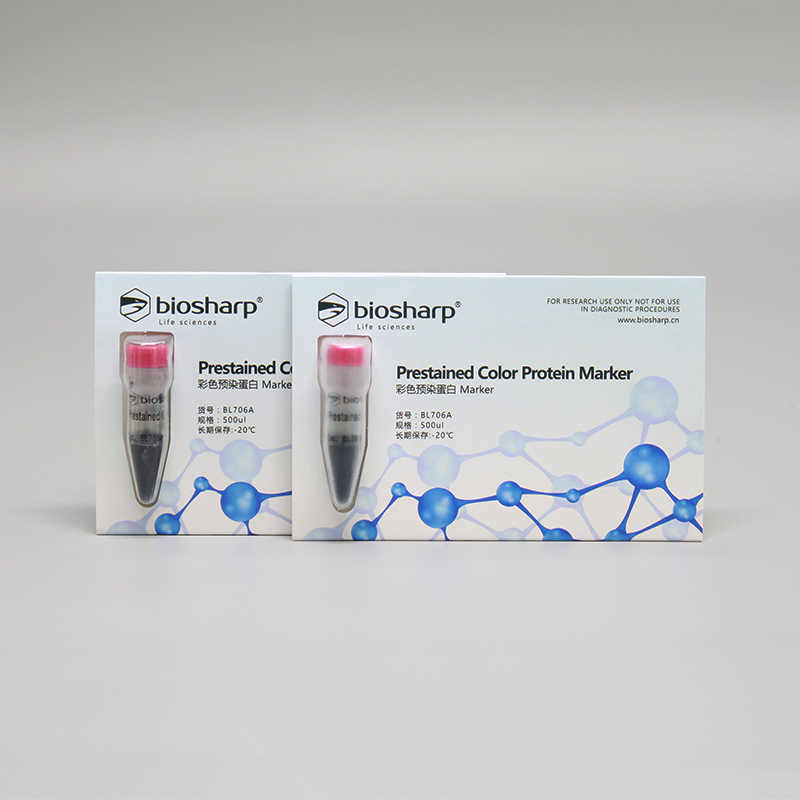 定制定制western blot预染marker 彩色预染蛋白质分子量标准(10-1 100