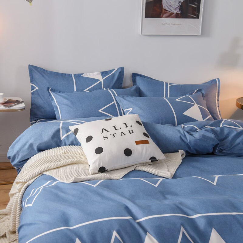 多兰诗(Duolanshi)春秋磨毛四件套 斜纹印花卡通套件被套床单宿舍四季床上四件套 洛特 1.2米 床单款 /被套150*200 三件套