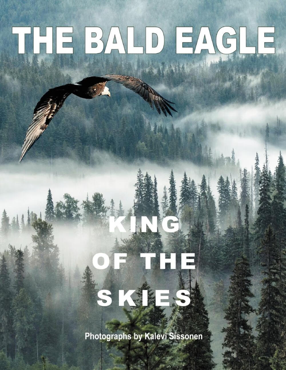 【预售 按需印刷】the bald eagle