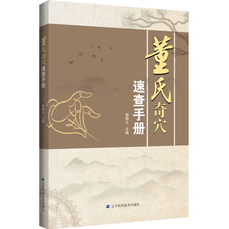 董氏奇穴速查手册 董氏奇穴实用手册 针灸穴位图解 针灸推拿正经奇穴学 中医针灸学书籍