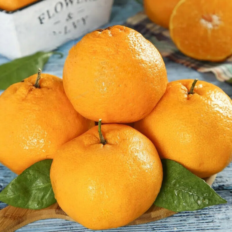 慧供四川春见耙耙柑桔子丑橘甜橘粑粑柑当季时令新鲜水果整箱春节礼盒 4.5斤中果【单果65-70mm】