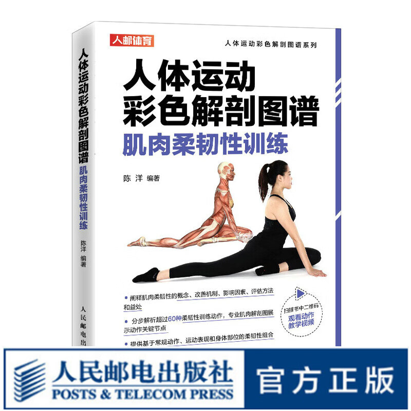 人体运动彩色解剖学图谱肌肉柔韧性训练精准拉伸体能速度训练完全图解书籍