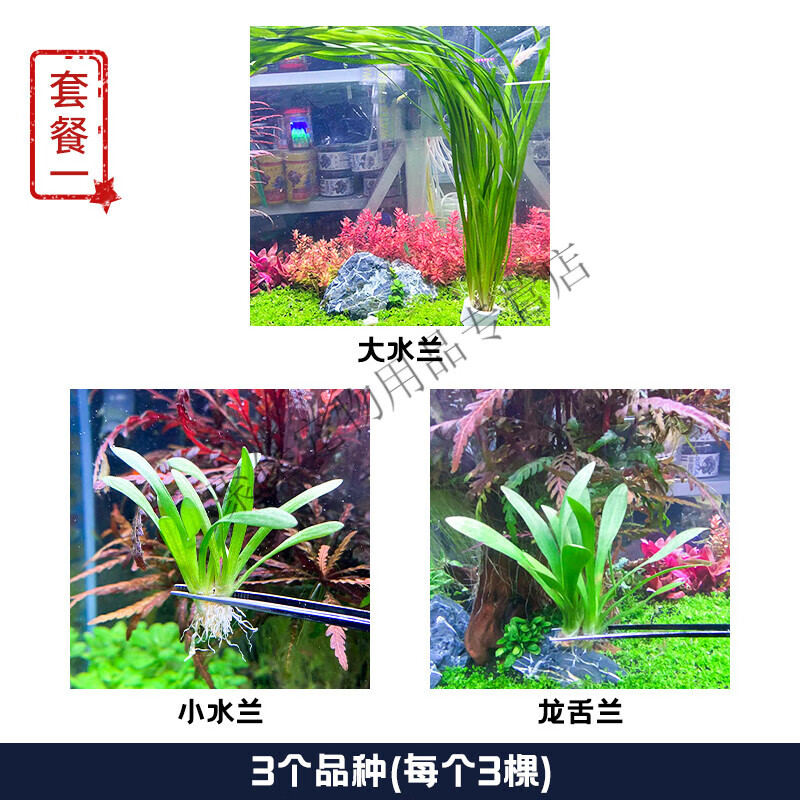 椒草 相关京东优惠商品排行榜 3 价格图片品牌优惠券 虎窝购 椒草 相关京东优惠商品排行榜 3 价格图片品牌优惠券 虎窝购