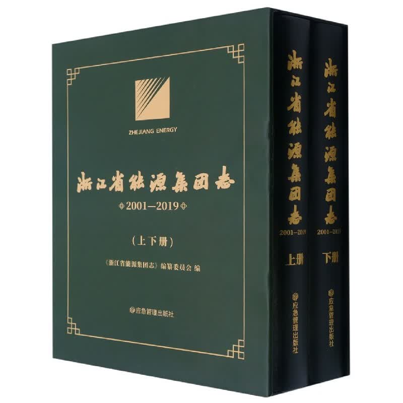 浙江省能源集团志(2001-2019上下)(精)