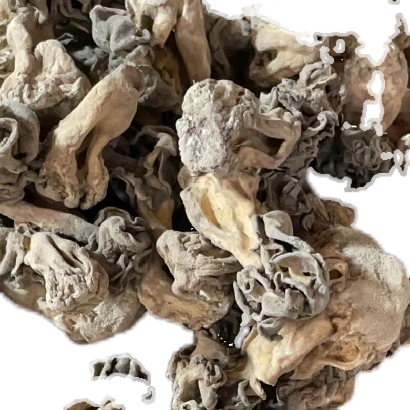 禾澹新鲜巴楚菇100g 新疆巴楚蘑菇干食用菌香菇胡杨林皱柄羊肚菌 100g