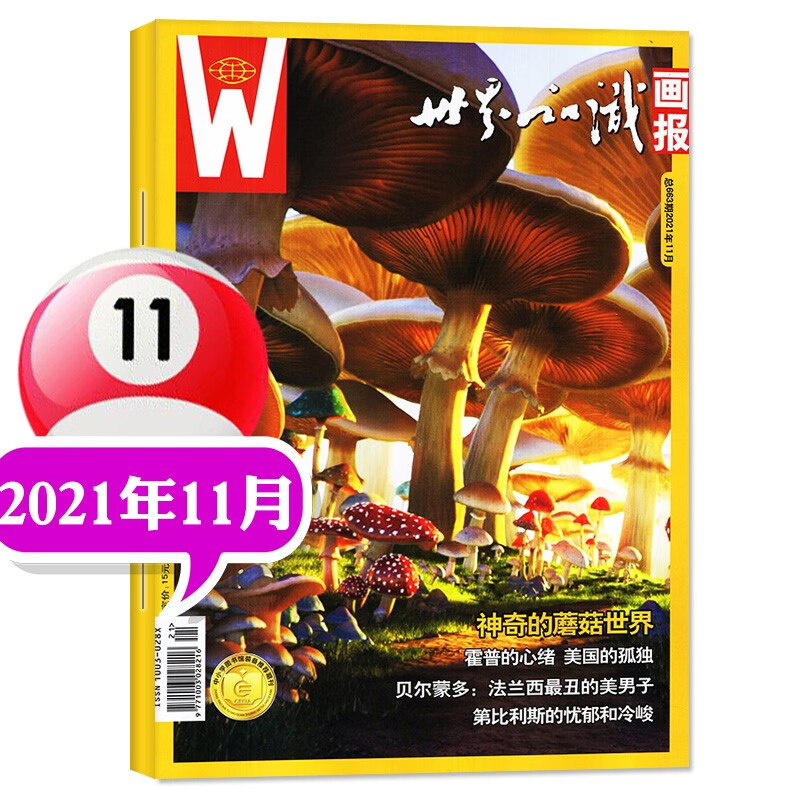 【多期单本自选】世界知识画报杂志2022年7月新 另有往期及预售 世界地理综合画刊知识博览阅读文化城市欣赏期刊 2021年11月
