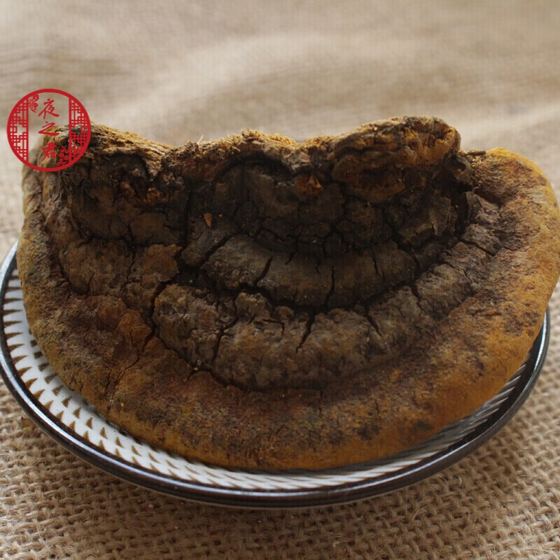 夜之君桑黄500克孔菌灵芝正宗西藏金边桑树桑黄天然整枝可切片