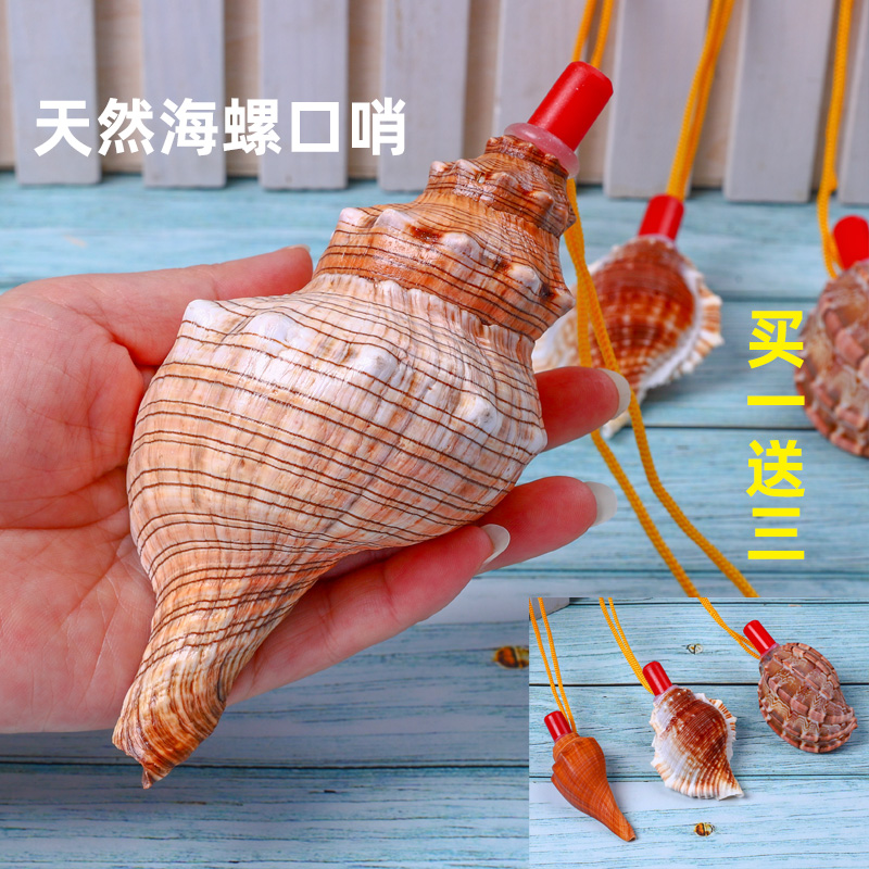 天然海螺号角可吹喇叭口哨超大贝壳哨子儿童玩具哨小螺号能吹响的 超大赤旋螺号16-18
