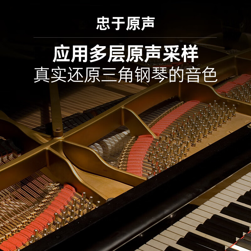 特伦斯（Terence）便携电钢琴88键重锤便携式电子钢琴成人儿童入门考级家用初学者 BX-05/典雅黑+三踏板