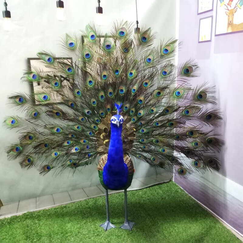 门店摆件动物标本模型庭院园林装饰舞台摄影道具工艺礼品 蓝孔雀开屏