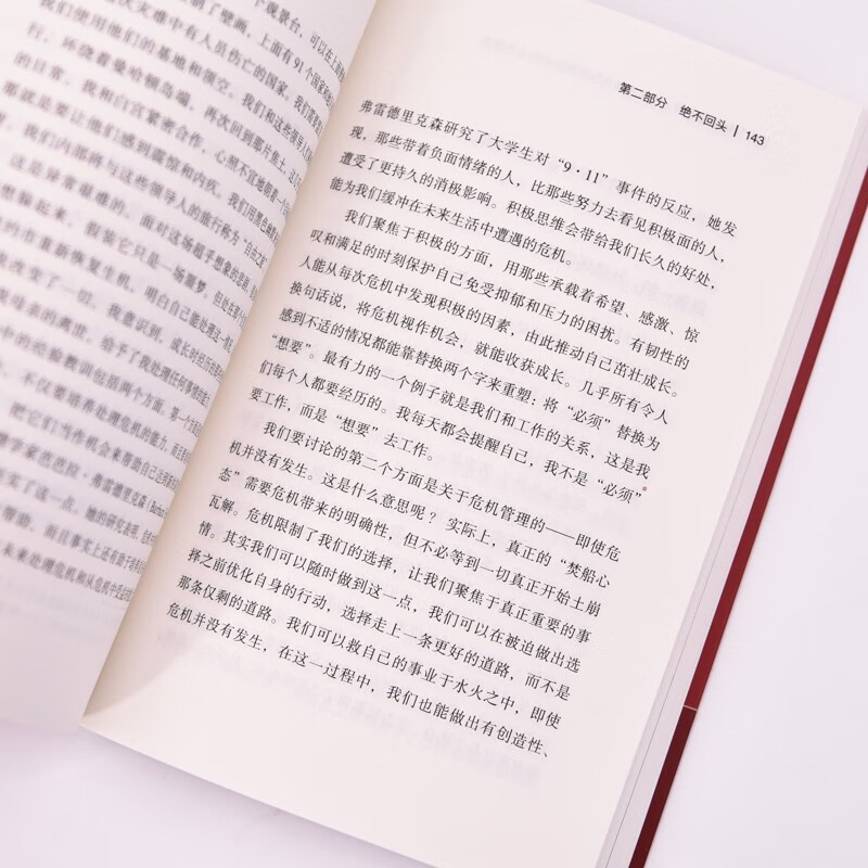 烧掉你的船：将焦虑转化为积极行动的9个策略（智元微库出品）详情图