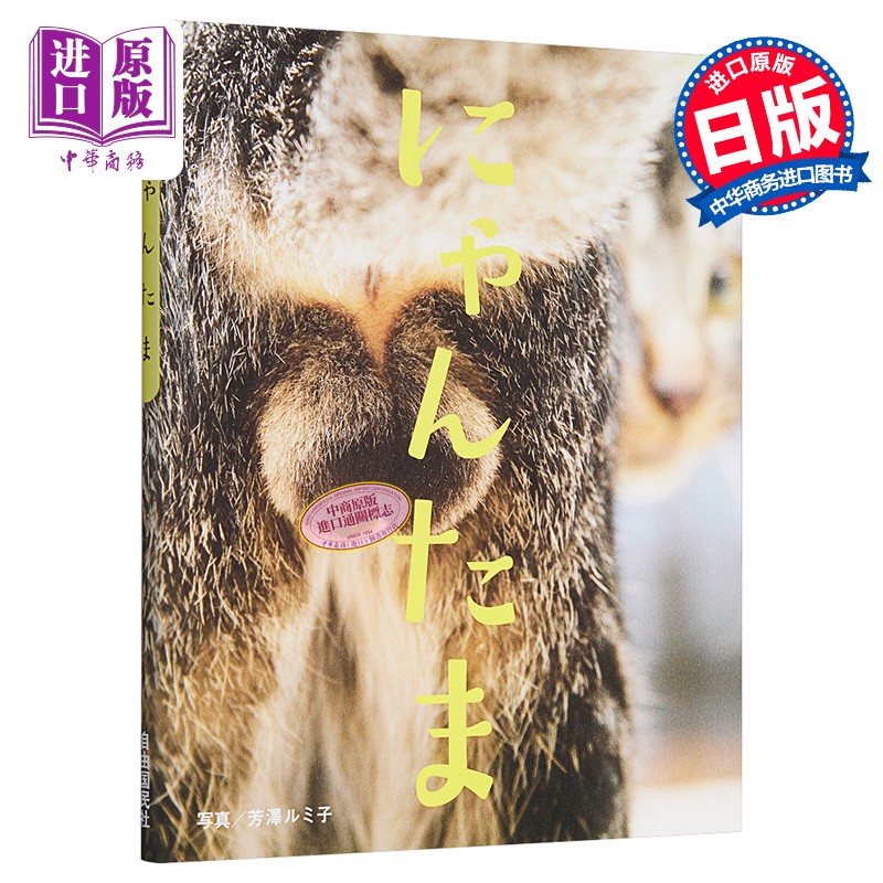 猫蛋蛋 影集 日文原版 设定集にゃんたま芳泽留美子 自由国民社 日本