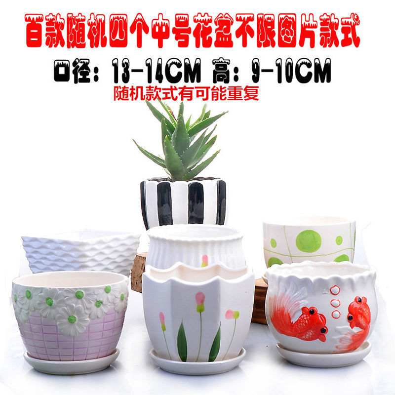 带托盘大号塑料大号特大号多肉花盆塑料花盆批发 随机四个中号特惠价