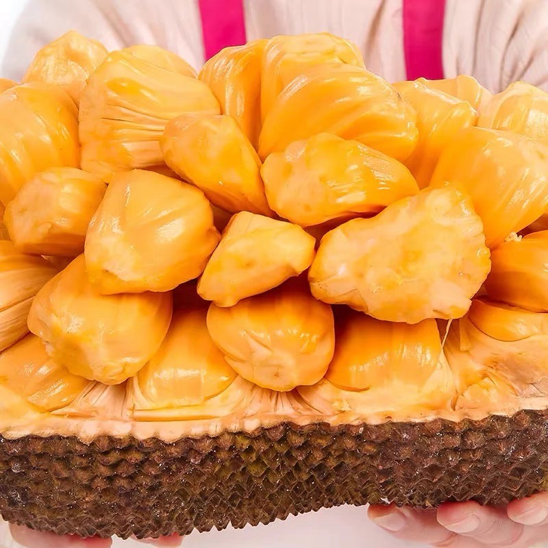 舅甜果蔬越南品种红肉菠萝蜜【现货现发】应当季水果果味浓郁精选红肉