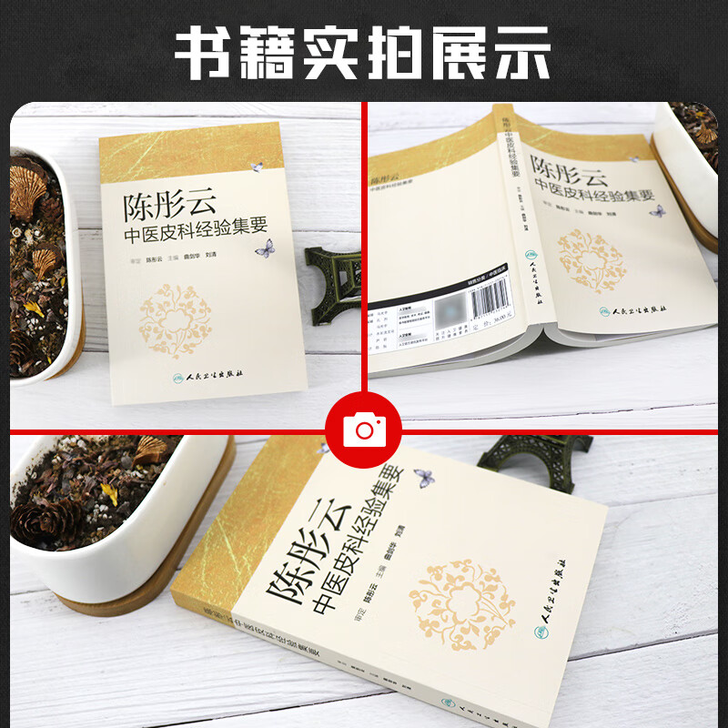 陈彤云中医皮科经验集要 曲剑华 刘清主编 中医皮肤病诊断治疗学书籍