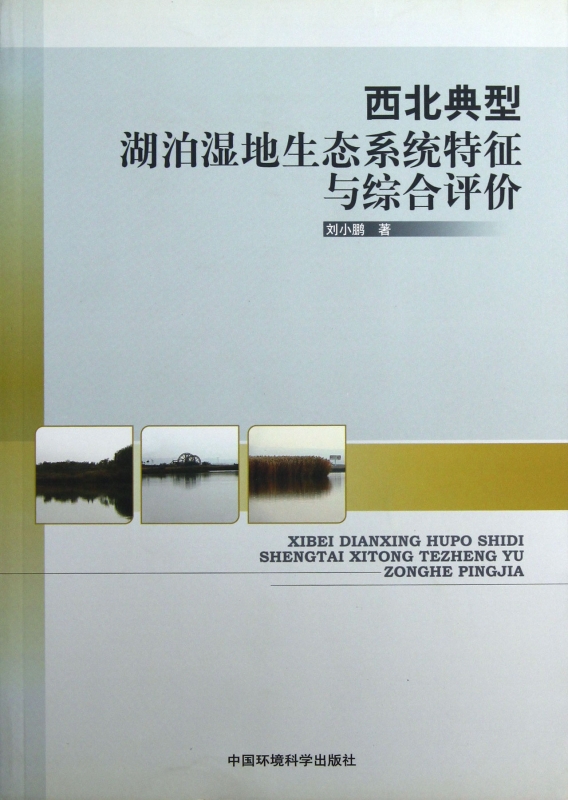 西北典型湖泊湿地生态系统特征与综合评价