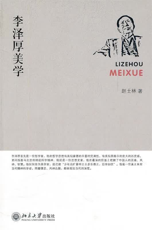 李泽厚美学 赵士林著【正版书】