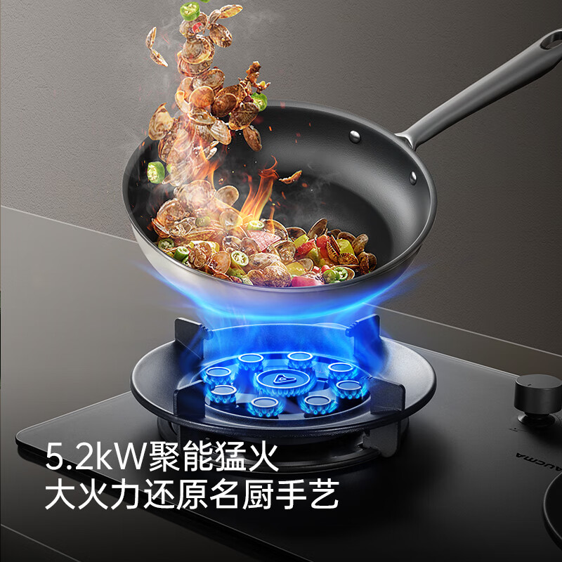 澳柯玛燃气灶 双灶家用煤气灶天然气液化气5.2kW猛火灶具 台式嵌入式两用 一级能效 灶具 天然气灶 液/5.0猛火九腔定时27BD