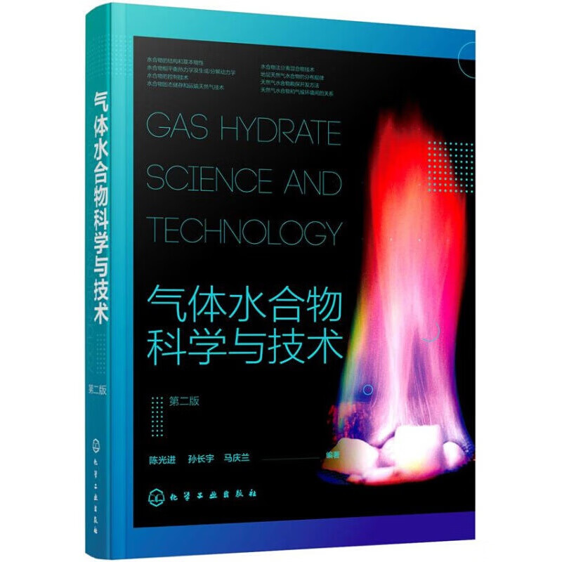 气体水合物科学与技术（第二版）