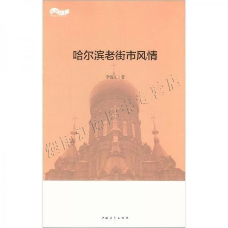 哈尔滨老街市风情