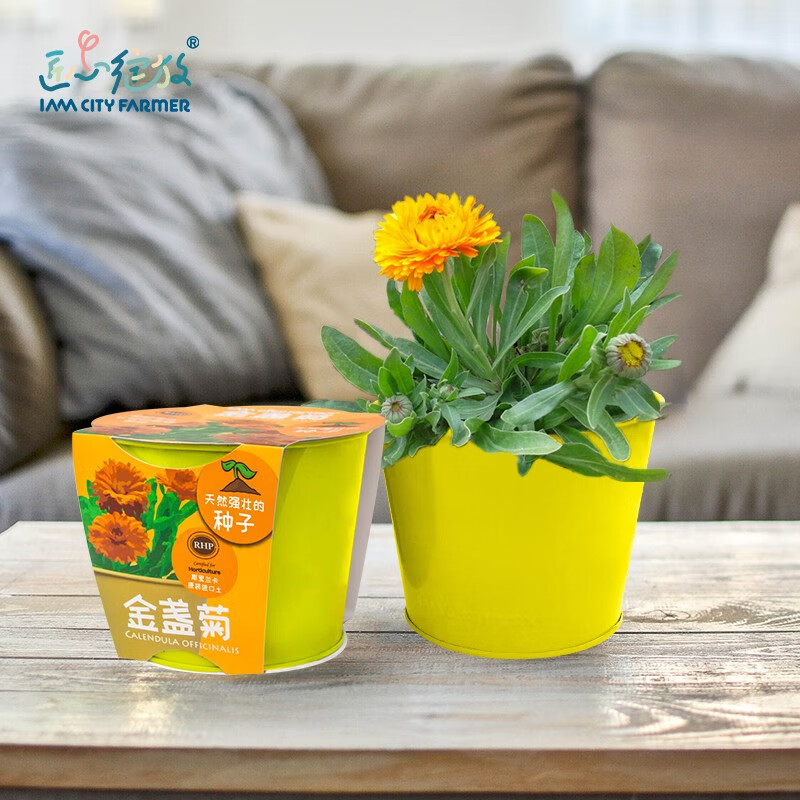 怎么看京东绿植盆栽历史价格曲线|绿植盆栽价格比较