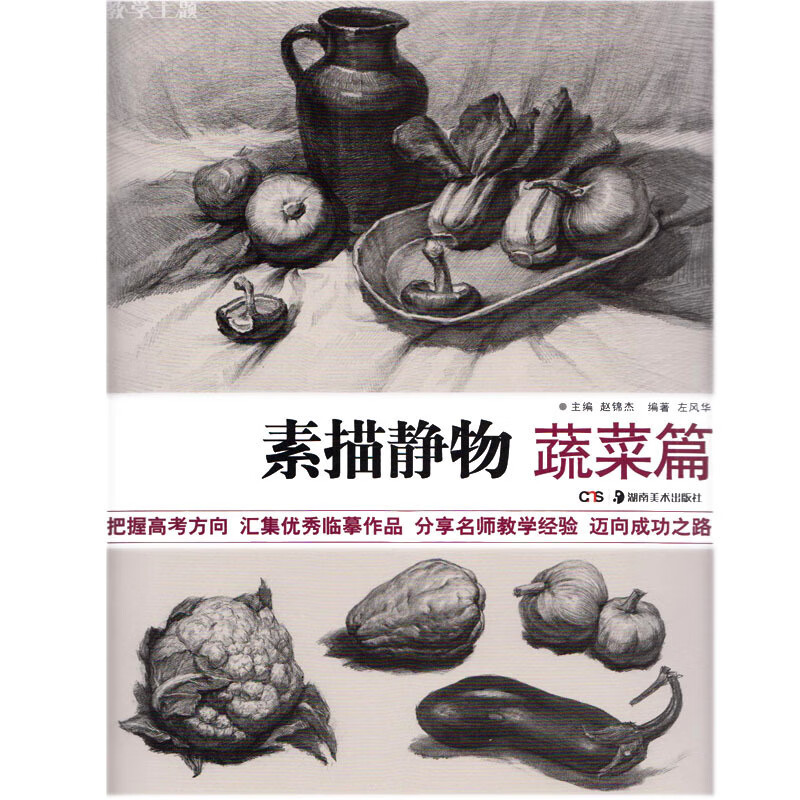 素描静物 蔬菜篇【稀缺图书,放心购买】