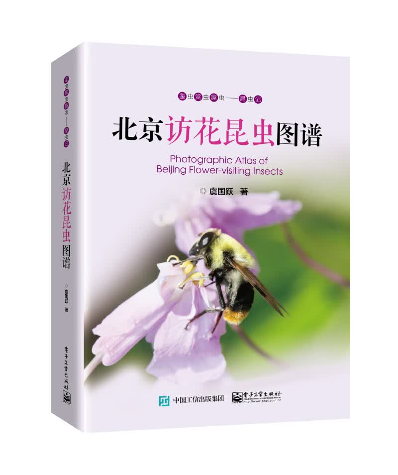 北京访花昆虫图谱 虞国跃 电子工业出版社 9787121368226