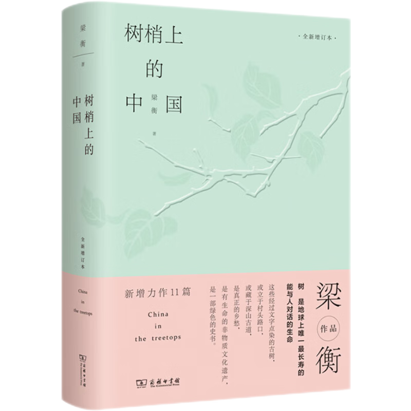 树梢上的中国(全新增订本)