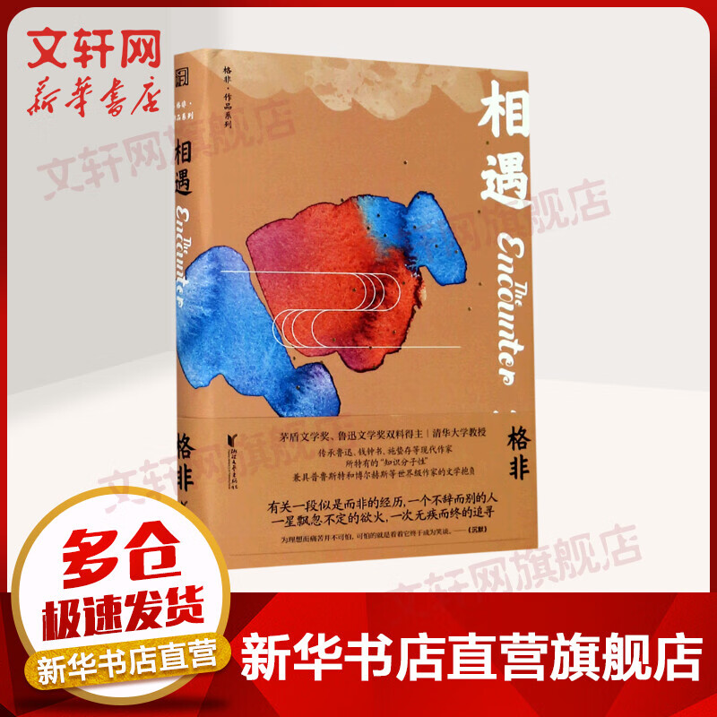 相遇(精)/格非作品系列