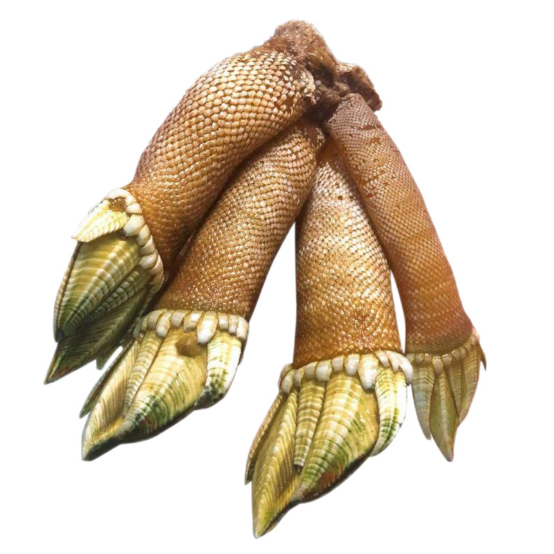 �g�������ʷ����� �ʼܺ��ʹ�צ�� ������ �쾱�ٺ������ 1kg ��װ����ʵ�� ÿ500g(��60-75��)��� 448.47Ԫ