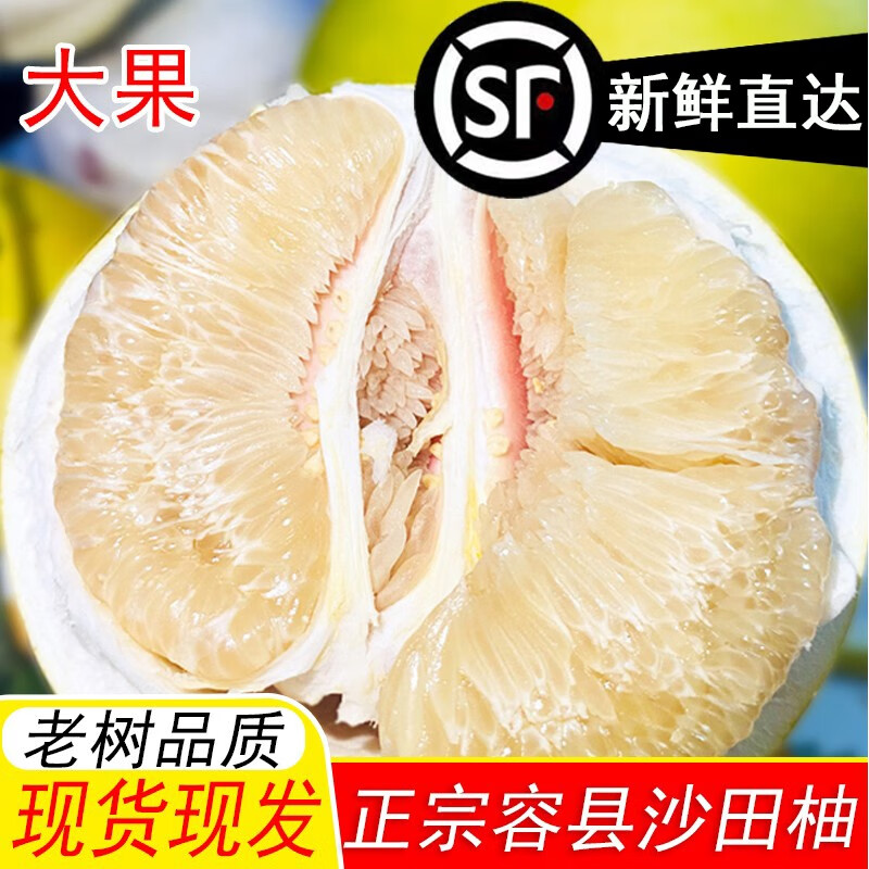 达 新鲜送到家 沙田柚正宗广西容县沙田柚纯甜白肉蜜柚小甜柚子水果价