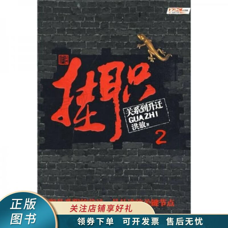 挂职2-关系到升迁 洪放【稀缺图书,放心购买】