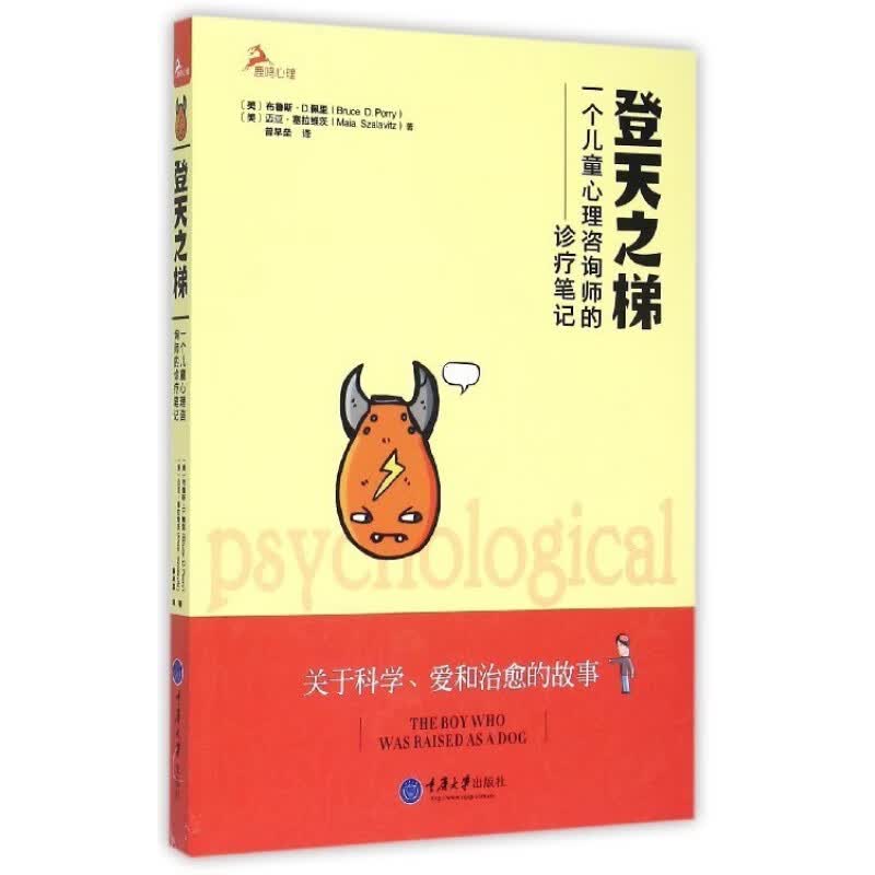 登天之梯(一个儿童心理咨询师的诊疗笔记) 信睿