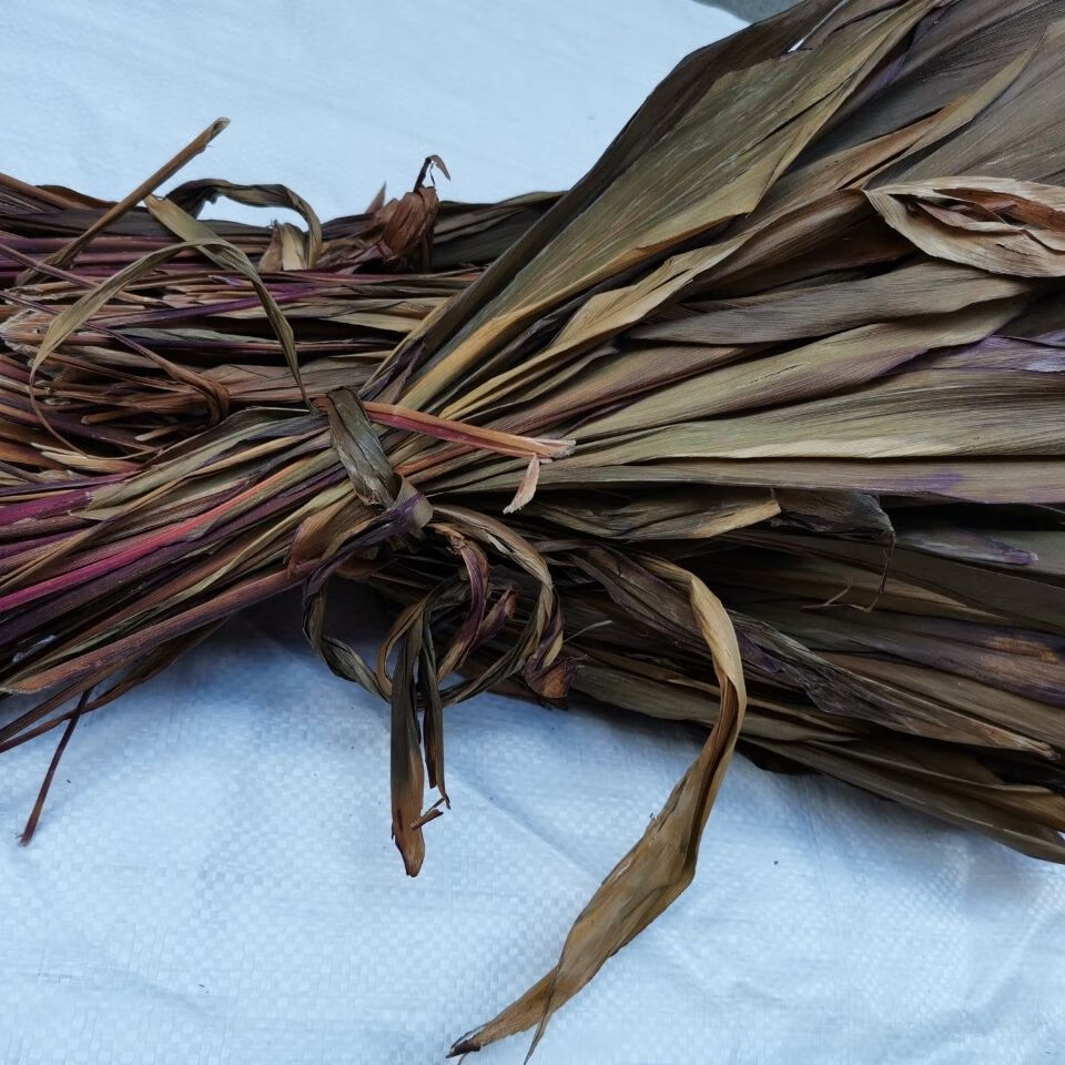 中药材红铁树叶朱蕉叶铁树叶铁连草红叶铁树中草药500克 广西玉林市