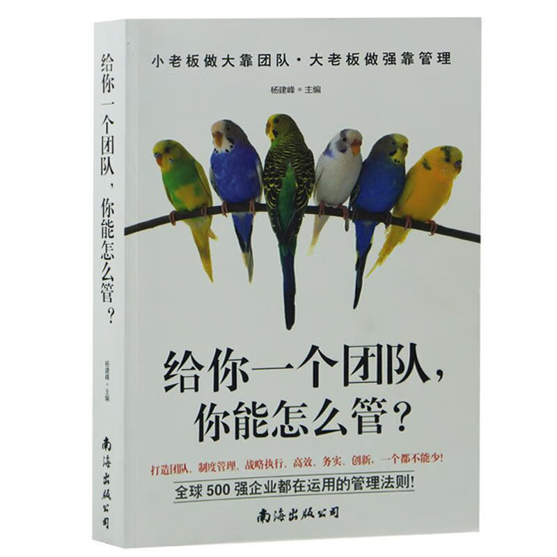 给你一个团队,你能怎么管 杨建峰 主编