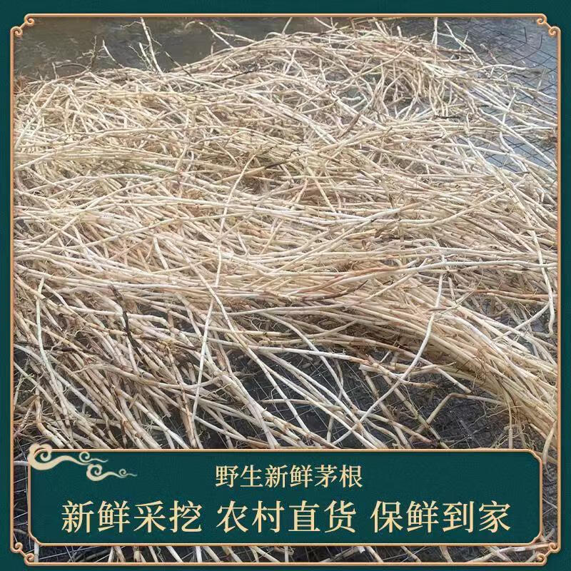 野生新鲜茅根 丝茅草根甜草根湿毛草根 中药材凉茶茅草 带皮毛根 10斤