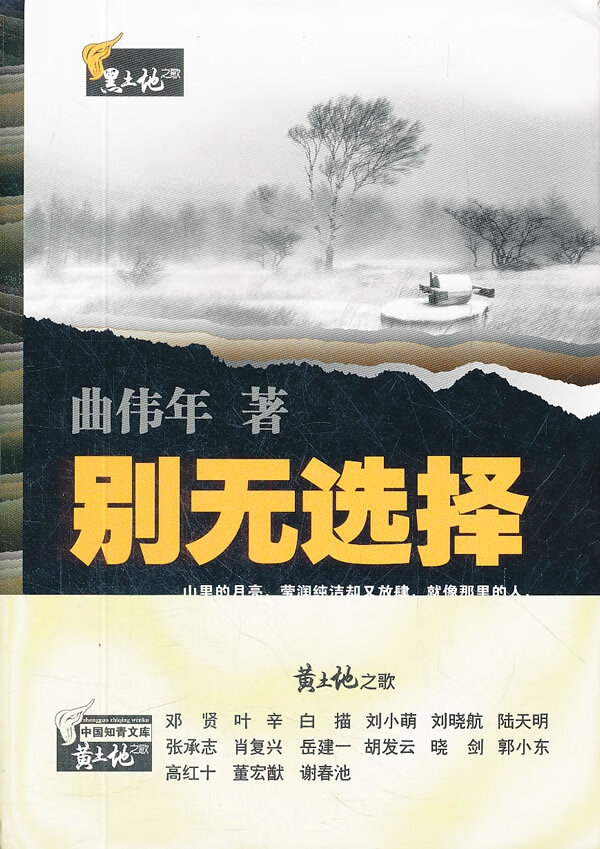 别无选择
