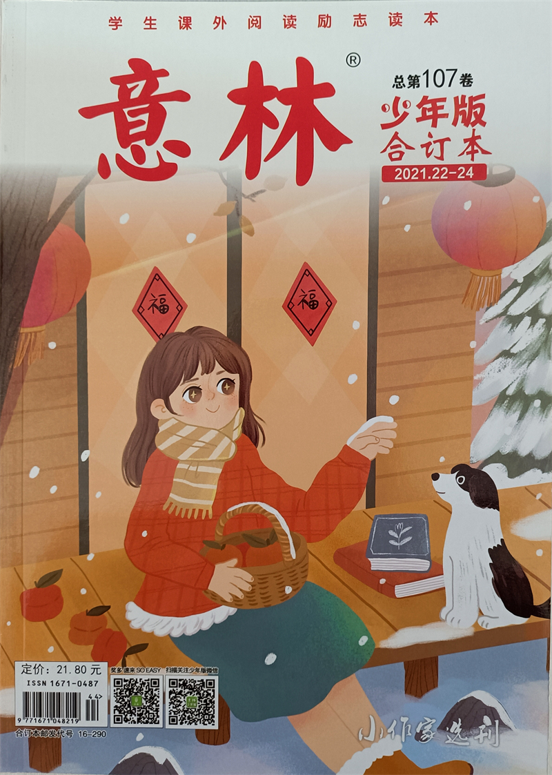 意林少年版合订本 2021年22-24107卷 京东