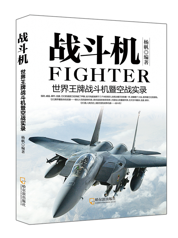 战斗机 杨帆 【放心选购】