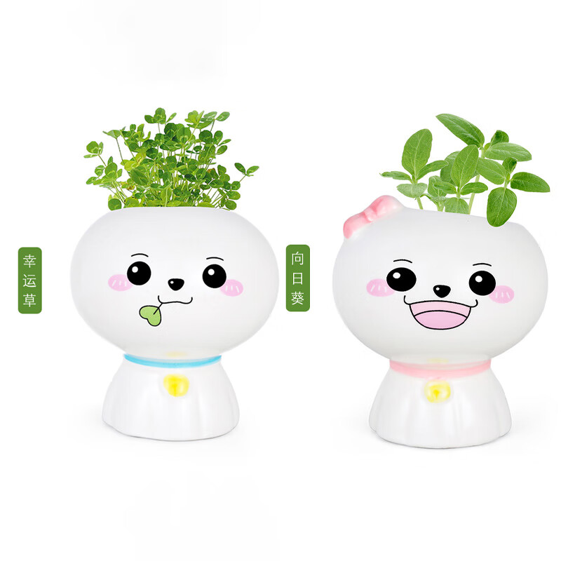 创意盆栽迷你可爱植物办公室桌面绿植室内摆件幼儿园 幸运草 向日葵款