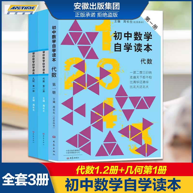 全套3本 初中数学自学读本 代数册 代数第二册 几何册 北京四中周长生