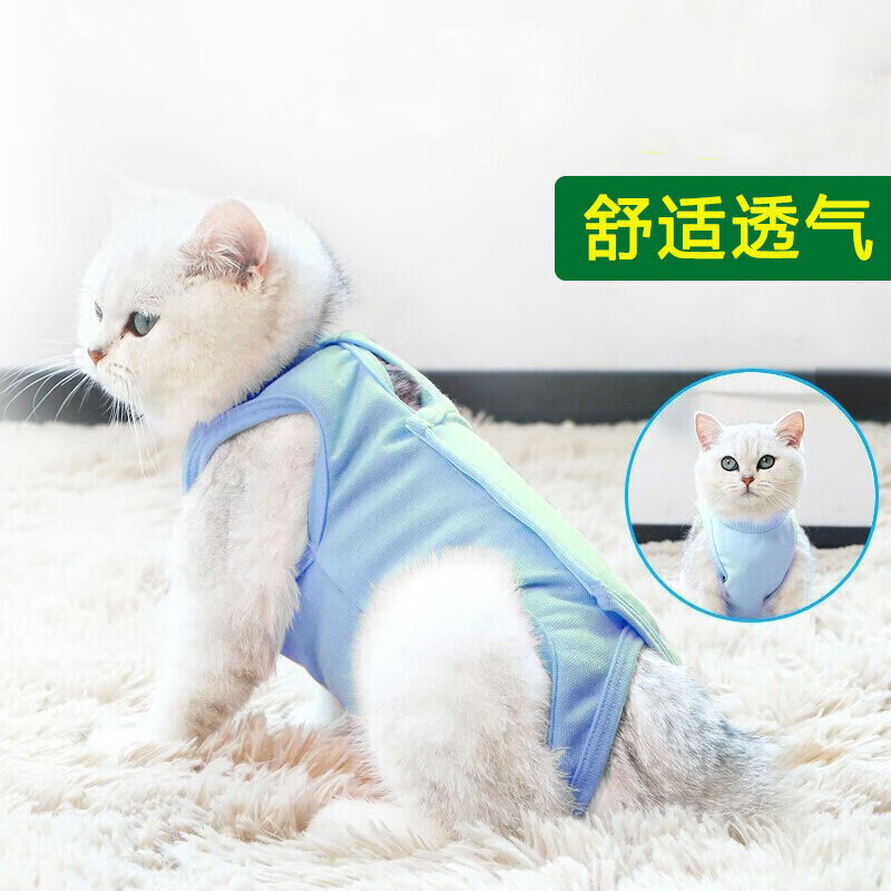 宠物鞋服历史价格网站|宠物鞋服价格历史