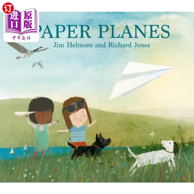 海外直订paper planes 纸飞机