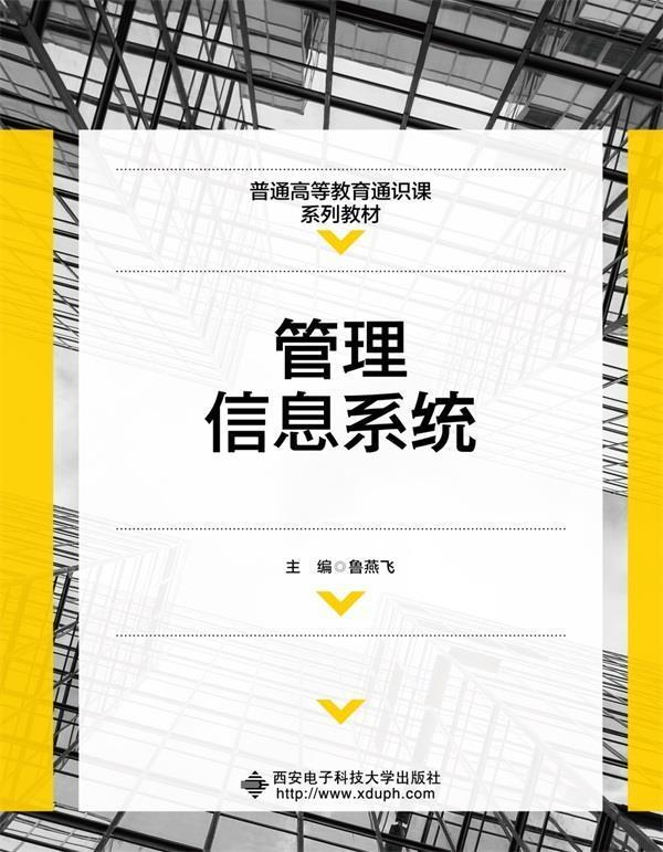 管理信息系统鲁燕飞西安电子科技大学出版社有限公司9787560661704 大