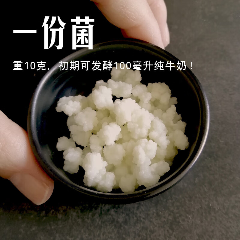 幸鸾kefir 开菲尔菌种奶克菲尔 不同西藏雪莲菌藏灵菇 酸奶菌常温