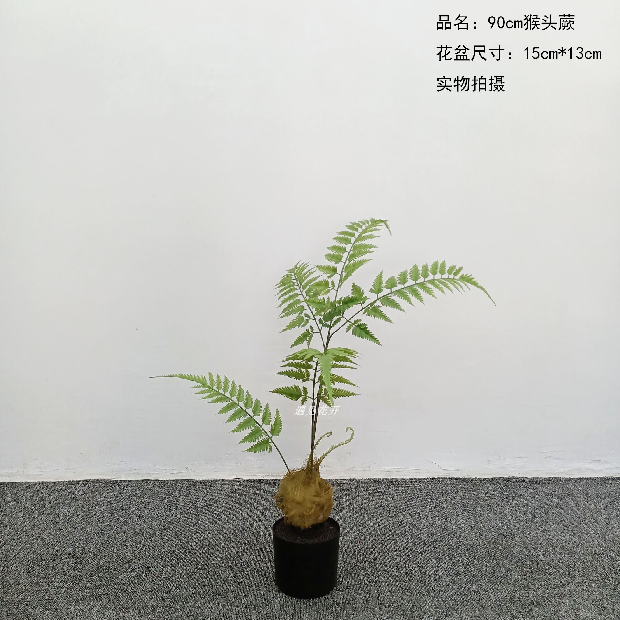 仿真猴头蕨金丝蕨禅意蕨绿植办公室客厅落地盆栽玄关装饰摆件 90cm