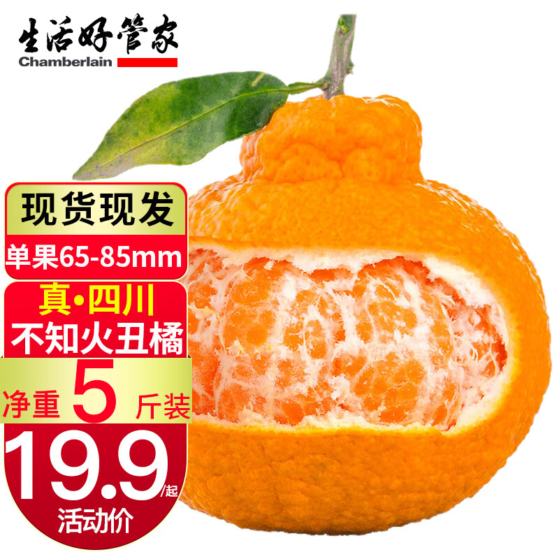 桔橘历史价格查询网站|桔橘价格走势
